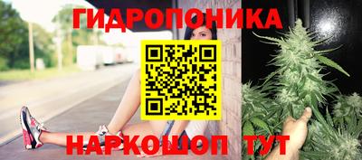 PSILOCYBIN Комсомольск-на-Амуре